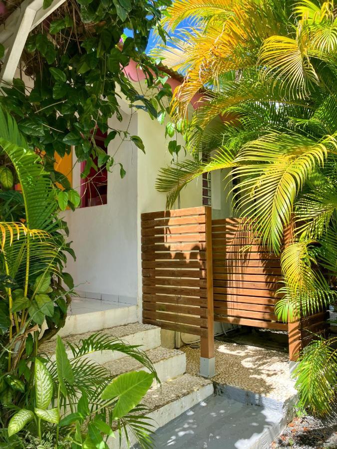 Gîte Zandoli Koko Sainte-Anne  Exterior foto