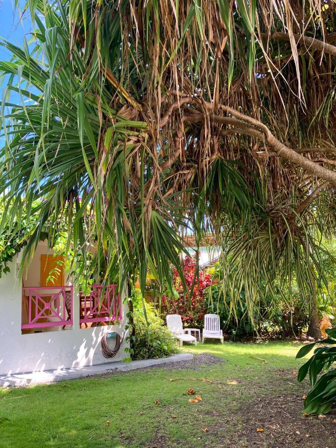 Gîte Zandoli Koko Sainte-Anne  Exterior foto
